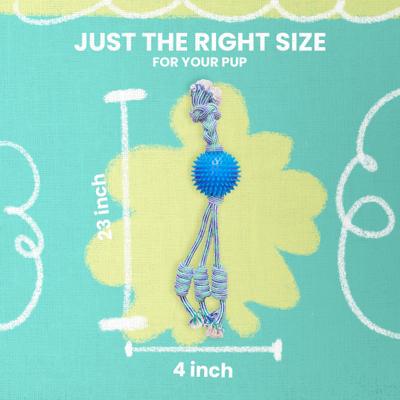 Show full view: Snugarooz Feel'N Spikey 23-in Dog Tug Toy, Color Varies slide 7 of 11