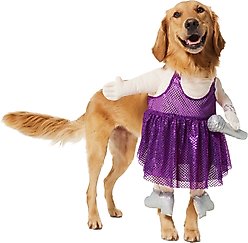 Frisco Front Walking Pop Star Dog Costume, XX-Large slide 2 of 8