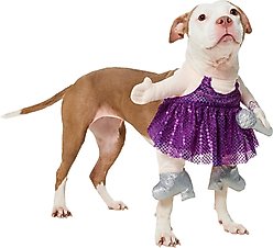 Frisco Front Walking Pop Star Dog Costume, Large slide 2 of 8