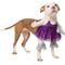 Show in main carousel: Frisco Front Walking Pop Star Dog Costume, Large slide 2 of 10