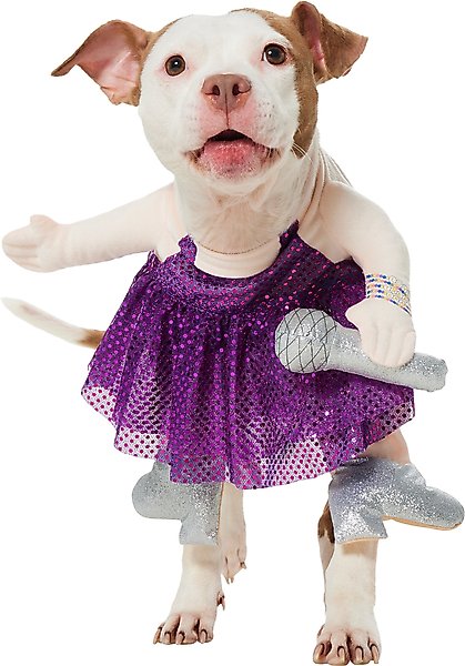 Show full view: Frisco Front Walking Pop Star Dog Costume, Large slide 1 of 10