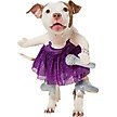 Show in main carousel: Frisco Front Walking Pop Star Dog Costume, Large slide 1 of 10