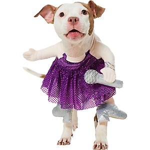 Frisco Front Walking Pop Star Dog Costume, Large