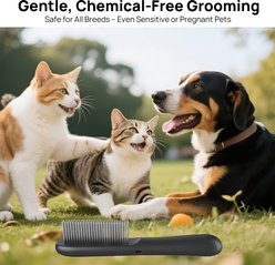 Pawshelf USB Rechargeable Electrostatic Flea Removal Comb-Microcurrent Technology for Cats, Black, Small slide 2 of 9