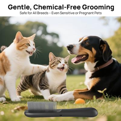 Show full view: Pawshelf USB Rechargeable Electrostatic Flea Removal Comb-Microcurrent Technology for Cats, Black, Small slide 8 of 10