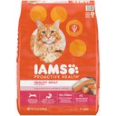 Iams ProActive Health Salmon Recipe Adult Dry Cat Food, 22-lb bag