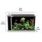 Show in main carousel: Fluval Spec Fish Aquarium Kit, White, 5-gal slide 3 of 4