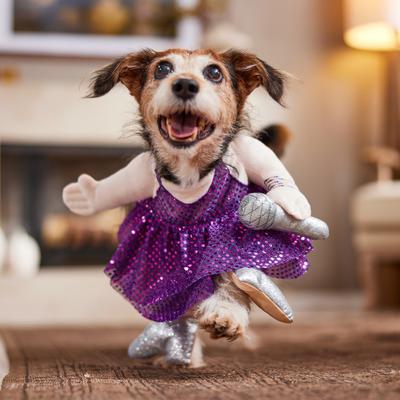 Show full view: Frisco Front Walking Pop Star Dog Costume, Medium slide 7 of 10