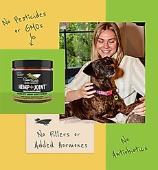 Super Snouts Hemp + Joint Mobility Broad Spectrum Hemp Extract Soft Chews Supplement for Dogs & Cats, 60 count slide 2 of 9