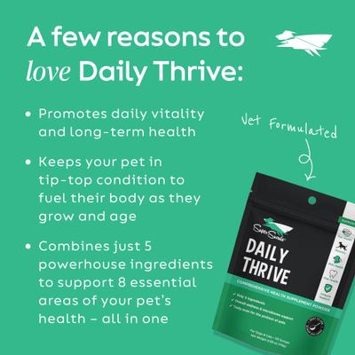 Show full view: Super Snouts Daily Thrive Immune Broad Spectrum Hemp Extract Supplement for Dogs & Cats, 5.29-oz jar slide 4 of 10