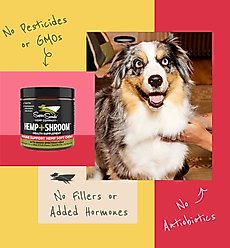 Super Snouts Hemp + Shroom Immunity Soft Chews Broad Spectrum Hemp Extract Supplement for Dogs & Cats, 30 count slide 2 of 9