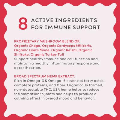 Show full view: Super Snouts Hemp + Shroom Immunity Soft Chews Broad Spectrum Hemp Extract Supplement for Dogs & Cats, 30 count slide 7 of 11