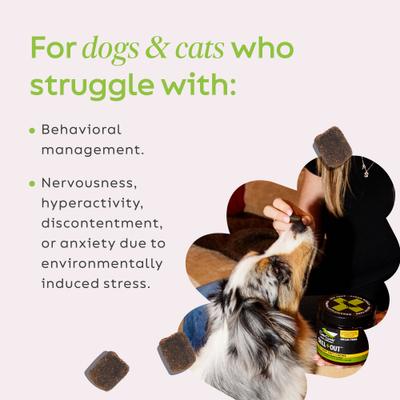 Show full view: Super Snouts Chill + Out Calming Broad Spectrum Hemp Extract Soft Chews Supplement for Dogs & Cats, 60 count slide 6 of 11