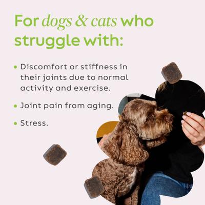 Show full view: Super Snouts Hemp + Joint Mobility Broad Spectrum Hemp Extract Soft Chews Supplement for Dogs & Cats, 30 count slide 6 of 11