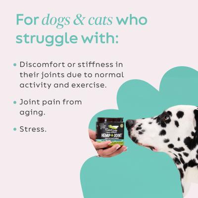 Show full view: Super Snouts Hemp + Joint Mobility Broad Spectrum Hemp Extract Powder Supplement for Dogs & Cats, 2.64-oz jar slide 6 of 11