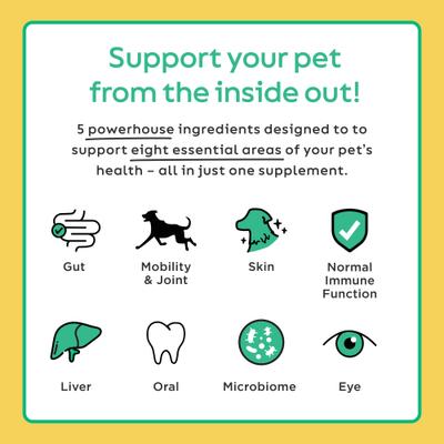 Show full view: Super Snouts Daily Thrive Immune Broad Spectrum Hemp Extract Supplement for Dogs & Cats, 5.29-oz jar slide 5 of 10