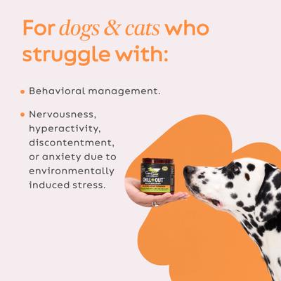 Show full view: Super Snouts Chill + Out Calming Broad Spectrum Hemp Extract Powder Supplement for Dogs & Cats, 2.64-oz jar slide 6 of 10