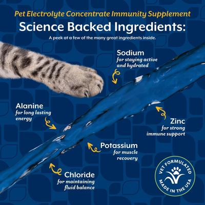 Show full view: NaturVet Electrolyte Concentrate Liquid Nutritional Supplement for Cats & Dogs, 16-fl oz bottle slide 5 of 8