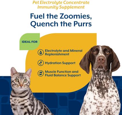 Show full view: NaturVet Electrolyte Concentrate Liquid Nutritional Supplement for Cats & Dogs, 16-fl oz bottle slide 4 of 8
