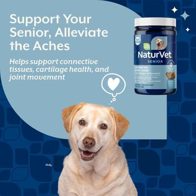 Show full view: NaturVet Advanced Joint Care Senior Bacon & Chicken Flavored Soft Chew Supplement for Dogs, 60 count slide 3 of 8