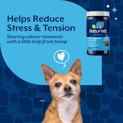 Show full view: NaturVet Hemp Quiet Moments Plus Hemp Seed Dog Soft Chews, 180 count + NaturVet Hemp Joint Health Plus Hemp Seed Soft Chews Dog Supplement, 60 count slide 7 of 9