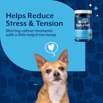 Show full view: NaturVet Quiet Moments with Hemp Seed Calming Supplements for Dogs, 60 count slide 3 of 8