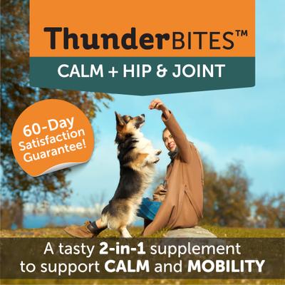 Show full view: ThunderBites Calm+ Chicken Flavored Chew Hip & Joint Supplement for Dogs, 90 count slide 3 of 9