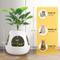 Show in main carousel: Coziwow Copod8 3-in-1 Hidden Cat Cave Condo with Plant & Scratchers, Medium, White slide 6 of 7