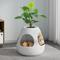 Show in main carousel: Coziwow Copod8 3-in-1 Hidden Cat Cave Condo with Plant & Scratchers, Medium, White slide 3 of 7