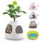 Show in main carousel: Coziwow Copod8 3-in-1 Hidden Cat Cave Condo with Plant & Scratchers, Medium, White slide 2 of 7