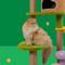 Show in main carousel: Happy & Polly Jungle Enchanted World 55-in Fleece Multi-Level Cat Tree & Condo, Large slide 6 of 7