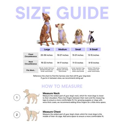 Show full view: Wild One Adjustable Cushioned Dog Harness, Tan, Small slide 6 of 9