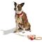 Show in main carousel: Wild One Adjustable Cushioned Dog Harness, Tan, Small slide 5 of 9