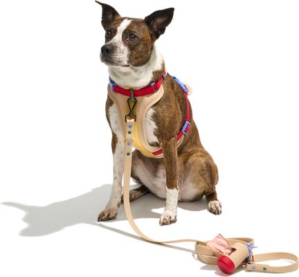 Show full view: Wild One Adjustable Cushioned Dog Harness, Tan, Small slide 5 of 9