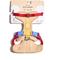 Show in main carousel: Wild One Adjustable Cushioned Dog Harness, Tan, Medium slide 4 of 9