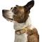 Show in main carousel: Wild One Adjustable Waterproof Flex-Poly Coated Nylon Dog Collar, Tan, Medium slide 2 of 9