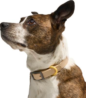 Show full view: Wild One Adjustable Waterproof Flex-Poly Coated Nylon Dog Collar, Tan, Medium slide 2 of 9