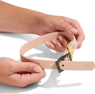 Show full view: Wild One Adjustable Waterproof Flex-Poly Coated Nylon Dog Collar, Tan, Medium slide 3 of 9