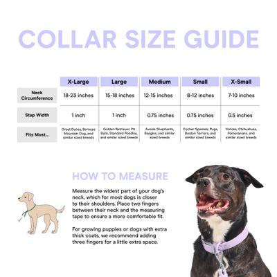 Show full view: Wild One Adjustable Waterproof Flex-Poly Coated Nylon Dog Collar, Tan, Medium slide 6 of 9