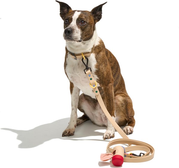 Show full view: Wild One Adjustable Waterproof Flex-Poly Coated Nylon Leash, Tan, Small: 4-ft long, 1/2-in wide slide 2 of 8
