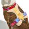 Show in main carousel: Wild One Adjustable Cushioned Dog Harness, Tan, Small slide 2 of 9