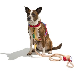 Wild One Hands-Free Adjustable Rope Dog Leash, Standard: 4 1/3 to 8 1/2-ft long, 1/2-in wide, Tan