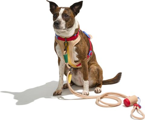 Show full view: Wild One Hands-Free Adjustable Rope Dog Leash, Standard: 4 1/3 to 8 1/2-ft long, 1/2-in wide, Tan slide 4 of 8