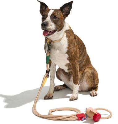 Show full view: Wild One Hands-Free Adjustable Rope Dog Leash, Standard: 4 1/3 to 8 1/2-ft long, 1/2-in wide, Tan slide 5 of 8