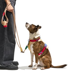 Wild One Hands-Free Adjustable Rope Dog Leash, Standard: 4 1/3 to 8 1/2-ft long, 1/2-in wide, Tan