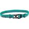 Show in main carousel: Orvis Outdoor Adventure Dog Collar, Teal, Large: 17 to 20-in neck, 1-in wide slide 1 of 2