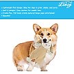 Show in main carousel: Linzy Toys Flat Crinklez Bunny Squeaky Plush Dog Toy, 12-in, White slide 4 of 6