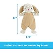 Show in main carousel: Linzy Toys Flat Crinklez Bunny Squeaky Plush Dog Toy, 12-in, White slide 3 of 6