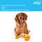 Show in main carousel: Linzy Toys Crab Squeaky Plush Dog Toy, Orange, 10-in slide 4 of 5