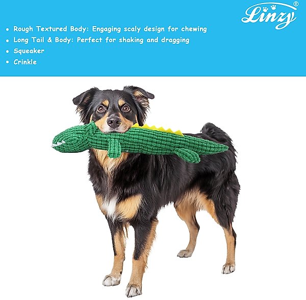 Show full view: Linzy Toys Scaly Gator Squeaky Plush Dog Toy, Green, 20-in slide 5 of 5